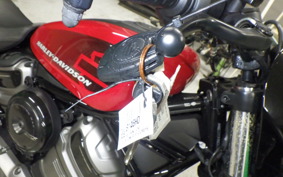 HARLEY RH975 2022