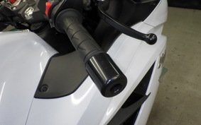 KAWASAKI ZX 1400 NINJA R 2015