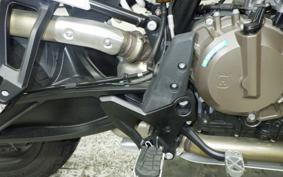 HUSQVARNA NORDEN901 2022
