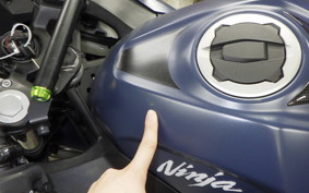KAWASAKI NINJA 400 2022 EX400G