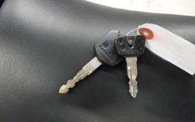 KAWASAKI NINJA 250 2019 EX250L