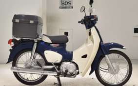 HONDA C110 SUPER CUB