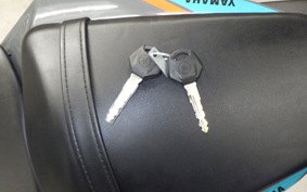 YAMAHA MT-25 A 2017 RG74J