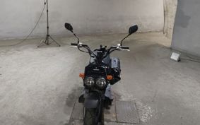 HONDA ZUMAR AF58