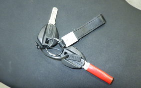 DUCATI 1199 PANIGALE R 2014