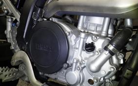 YAMAHA WR250X DG15J