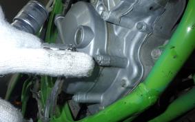 KAWASAKI KDX125 SR 2010 DX125A