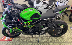 KAWASAKI NINJA ZX-6R 2019 ZX636G