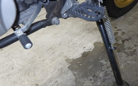 YAMAHA WR250X 2013 DG15J