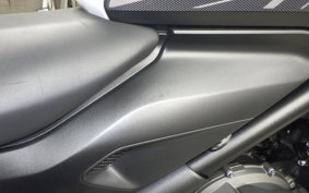 TRIUMPH TRIDENT 660 2024