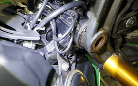 KAWASAKI Z125 PRO 2024 BR125H