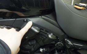 HARLEY RH975S 2024