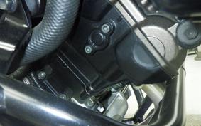 SUZUKI DL1000 ( V-Strom 1050 ) 2023 EF11M