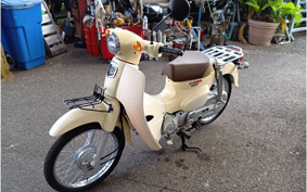 HONDA SUPER CUB50 AA09