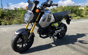 HONDA GROM JC92