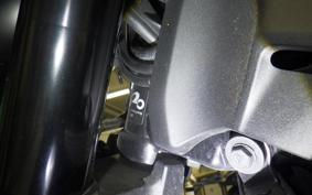 KAWASAKI Z900RS 2019 ZR900C