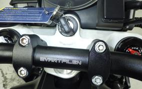 HUSQVARNA ENDURO 701 2019