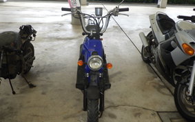 HONDA BITE AF59