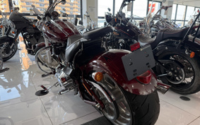 HARLEY FXCWC 2009 JK5
