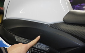 SUZUKI GSX-R1000 2013