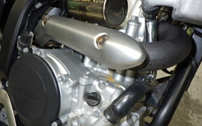 YAMAHA WR250X 2009 DG15J