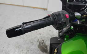 KAWASAKI ZRX1200 DAEG 2013 ZRT20D