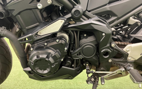 KAWASAKI Z900 2020 ZR900B