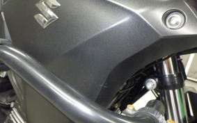 SUZUKI V-STROM 250 1996
