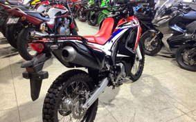 HONDA CRF250 RALLY MD44