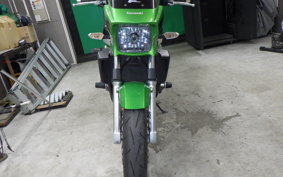 KAWASAKI ZRX1200 D 2013 ZRT20D