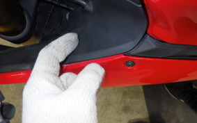 DUCATI 1199 PANIGALE S 2016