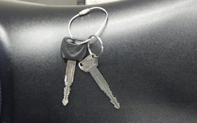 HONDA VTR 250 Gen. 2 MC33