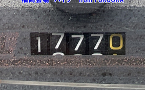 SUZUKI ADDRESS V50