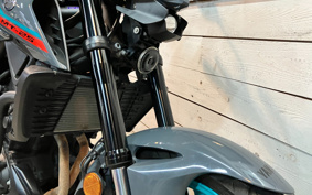 YAMAHA MT-25 RG74J