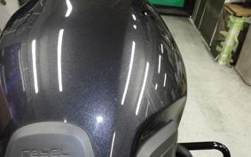 HONDA REBEL 1100 DCT 2024 SC83