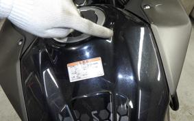 KAWASAKI VERSYS X250Aﾂｱﾗｰ LE250D