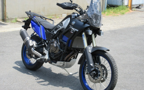 YAMAHA TENERE 700 2020 DM09J