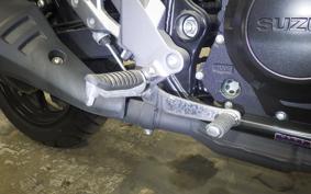 SUZUKI Vｽﾄﾛｰﾑ250A 2023