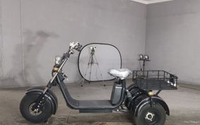OTHER  BLAZE EV TRIKE  ..