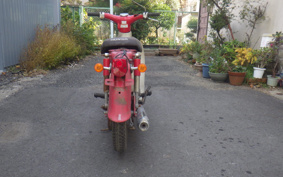 HONDA LITTLE CUB C50