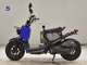 Фото Honda ZOOMER 2008 с японского аукциона