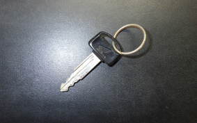 HONDA GIORCUB 2010 AF53