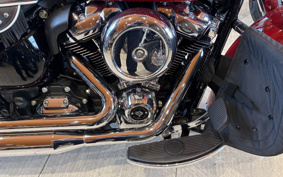 HARLEY FLI 2024 BCK