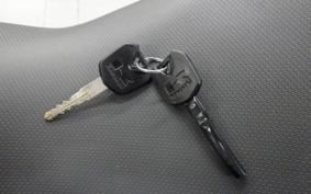 KAWASAKI Z250 SL BR250E