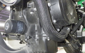 HONDA REBEL 500 A 2024 PC60