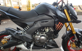 KAWASAKI Z125 PRO BR125H