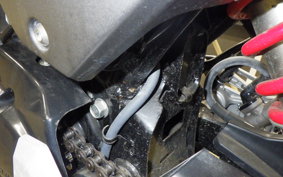 HONDA ｸﾞﾛﾑ 2024 JC75