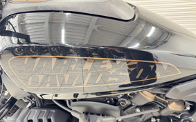 HARLEY RH1250S 2022 ZC4