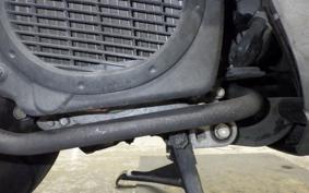 HONDA LEAD 110 2025 JF19