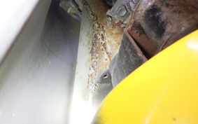 SUZUKI LET's 4 G CA41A